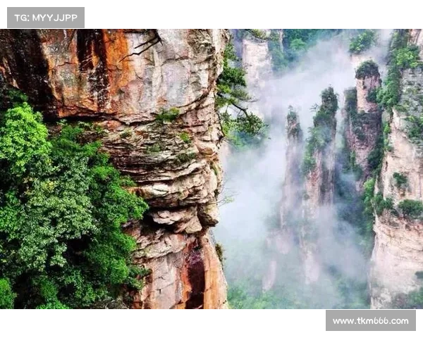 张家界小伙暴雨天冒险抓鱼!湍急洪流中命悬一线引全民揪心 张家界小伙暴雨天冒险抓鱼!湍急洪流中命悬一线引全民揪心